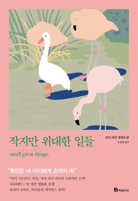 작지만 위대한 일들 : 조디 피코 장편소설