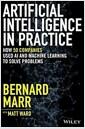Artificial intelligence in practice : how 50 successful companies used artificial intelligence to solve problems