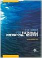 The quest for sustainable international fisheries : regional efforts to implement the 1995 United Nations Fish Stocks Agreement : an overview for the May 2006 review conference