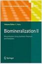 Biomineralization II : mineralization using synthetic polymers and templates