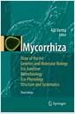 Mycorrhiza : state of the art, genetics and molecular biology, eco-function, biotechnology, eco-physiology, structure and systematics