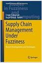 Supply chain management under fuzziness : recent developments and techniques
