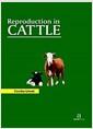 Reproduction in cattle