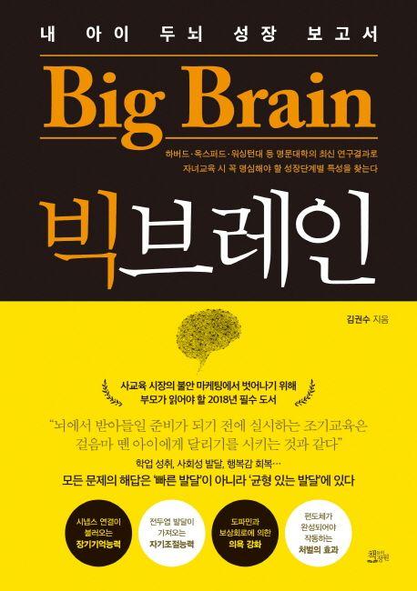빅브레인 : 내 아이 두뇌 성장 보고서 =