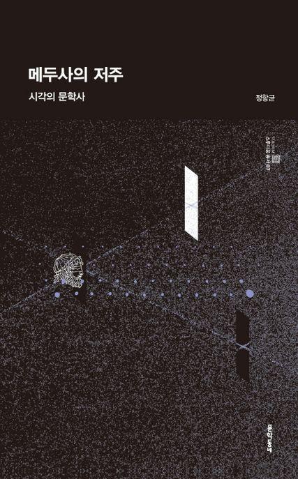 메두사의 저주 : 시각의 문학사