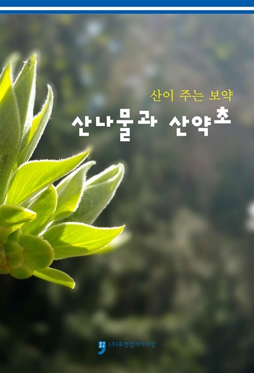 (산이 주는 보약) 산나물과 산약초