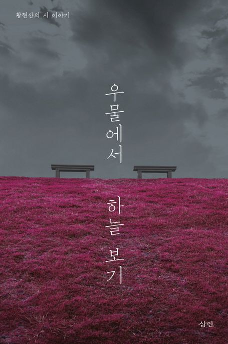 우물에서 하늘 보기 : 황현산의 시 이야기