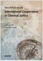 New initiatives on international cooperation in criminal justice