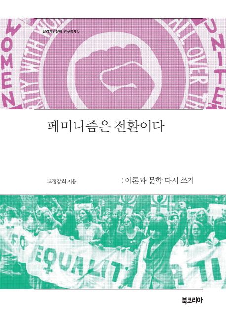 페미니즘은 전환이다 : 이론과 문학 다시 쓰기