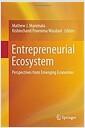 Entrepreneurial ecosystem : perspectives from emerging economies