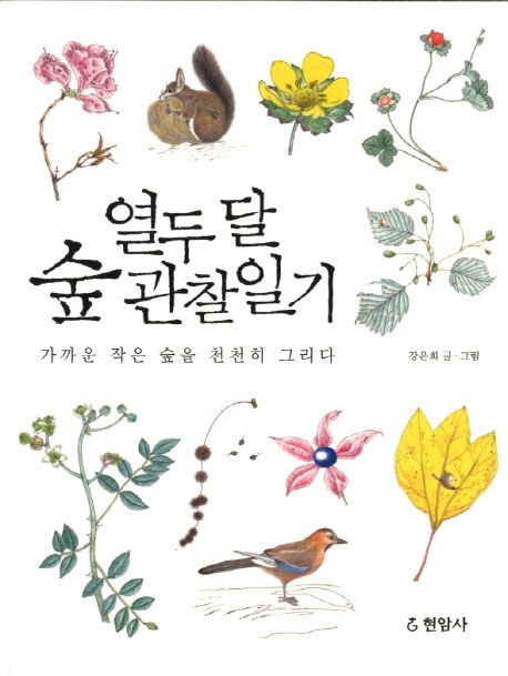 열두 달 숲 관찰일기