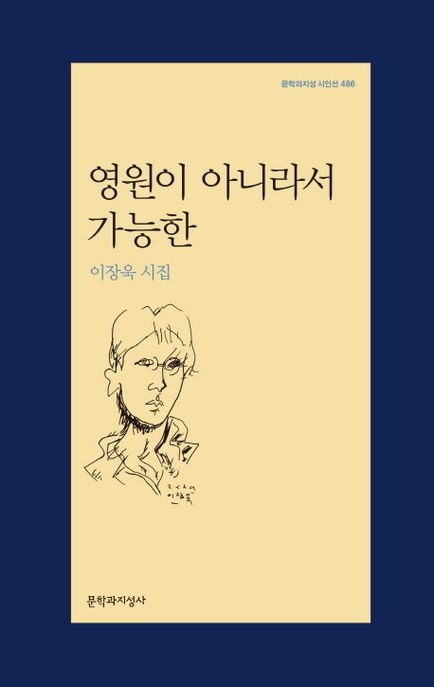 영원이 아니라서 가능한 : 이장욱 시집