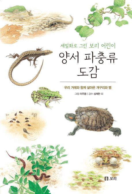 (세밀화로 그린 보리 어린이) 양서 파충류 도감 : 우리 겨레와 함께 살아온 개구리와 뱀
