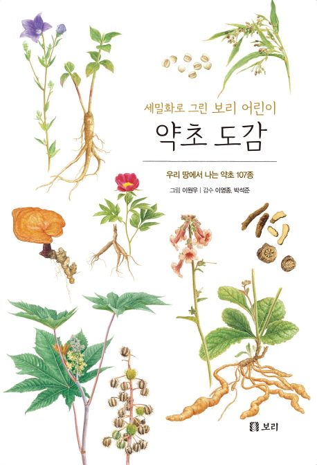 (세밀화로 그린 보리 어린이) 약초 도감 : 우리 땅에서 나는 약초 107종