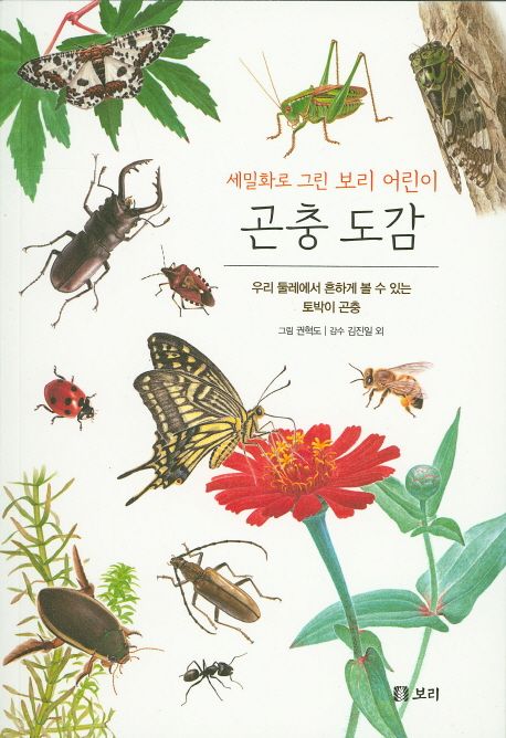 (세밀화로 그린 보리 어린이) 곤충 도감 : 우리 둘레에서 흔하게 볼 수 있는 토박이 곤충