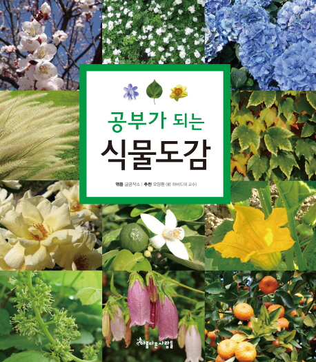 (공부가 되는) 식물도감