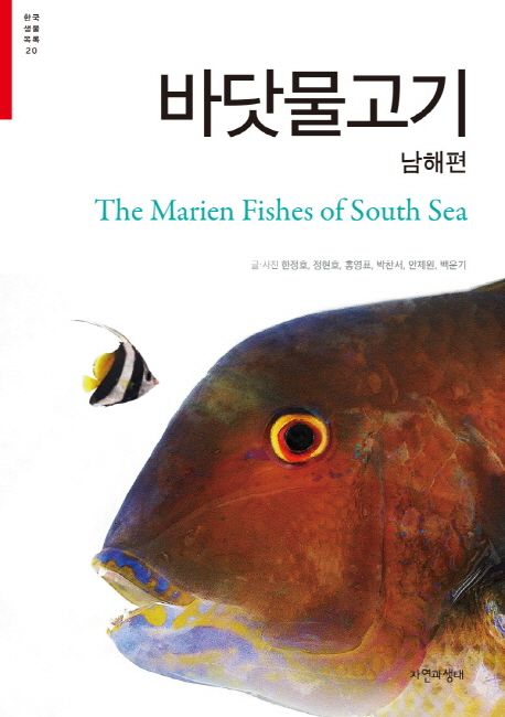 바닷물고기: 남해편