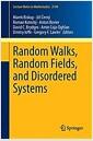 Random walks, random fields, and disordered systems