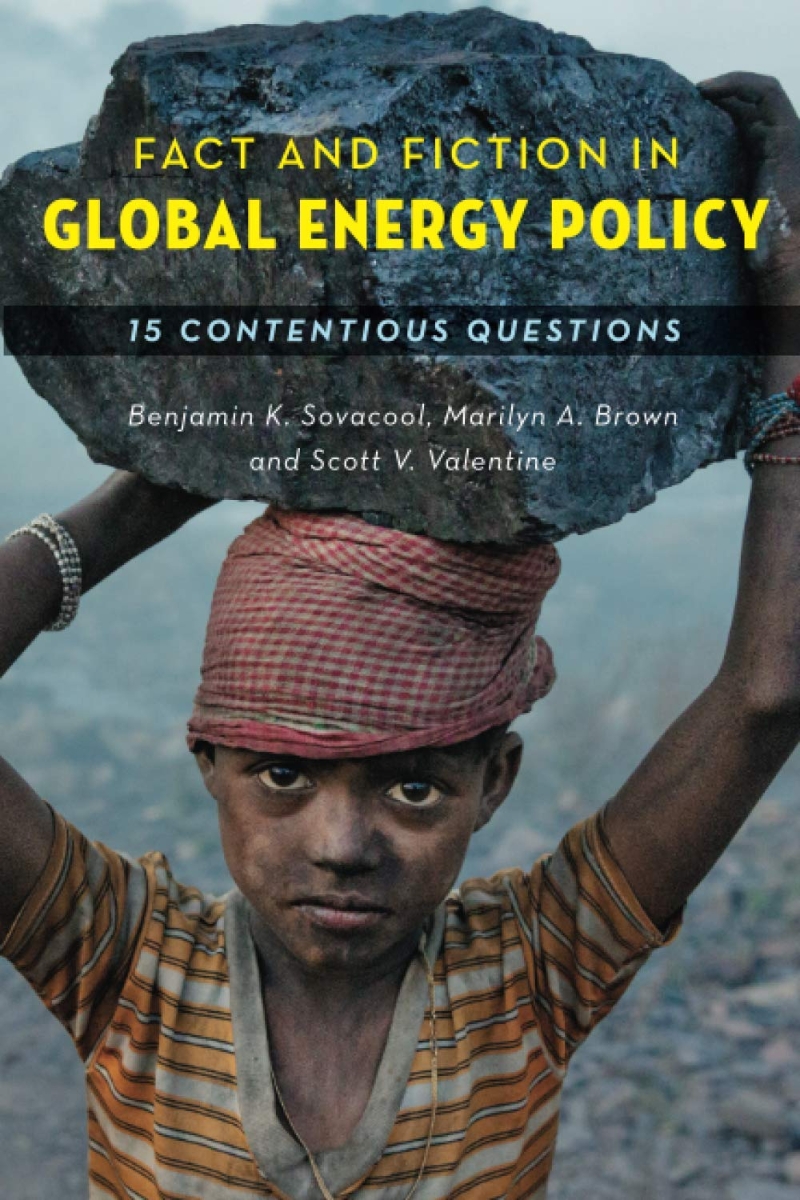 Fact and fiction in global energy policy : fifteen contentious questions