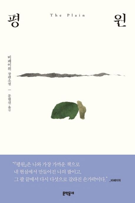 평원 : 비페이위 장편소설 =