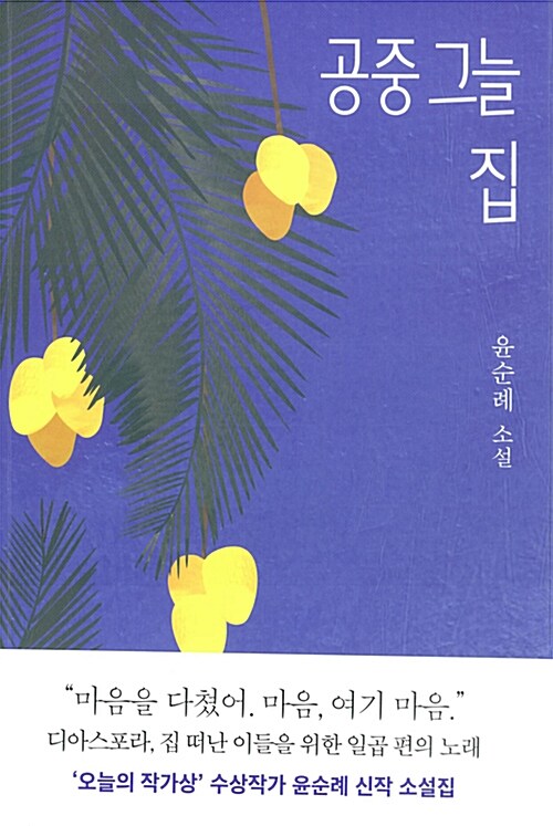 공중 그늘 집 : 윤순례 소설