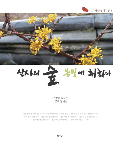 산사의 숲, 봄빛에 취하다